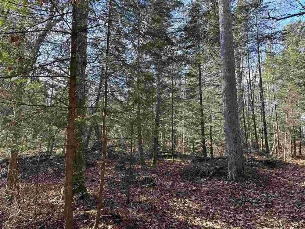 32010 Mrs Reddings Trail Peaine Township, MI 49782