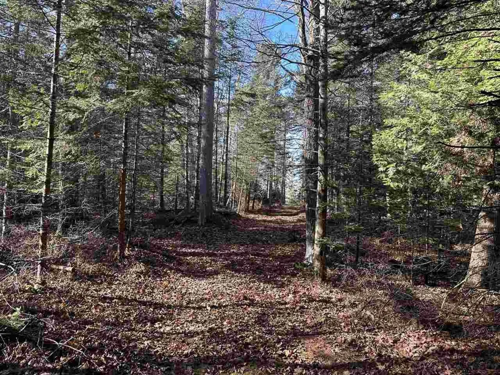 32010 Mrs Reddings Trail Peaine Township, MI 49782