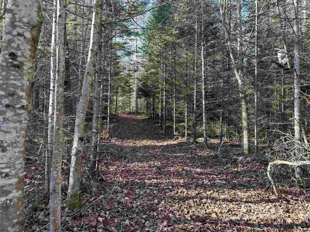 32010 Mrs Reddings Trail Peaine Township, MI 49782