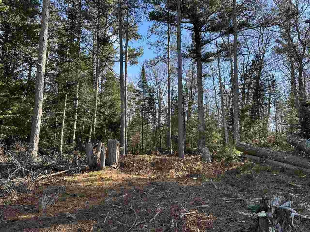 32010 Mrs Reddings Trail Peaine Township, MI 49782