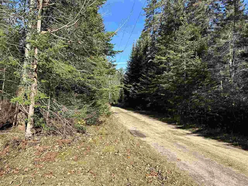 32010 Mrs Reddings Trail Peaine Township, MI 49782