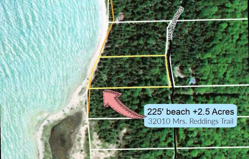 32010 Mrs Reddings Trail Peaine Township, MI 49782