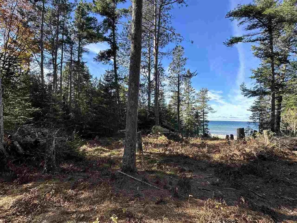 32010 Mrs Reddings Trail Peaine Township, MI 49782