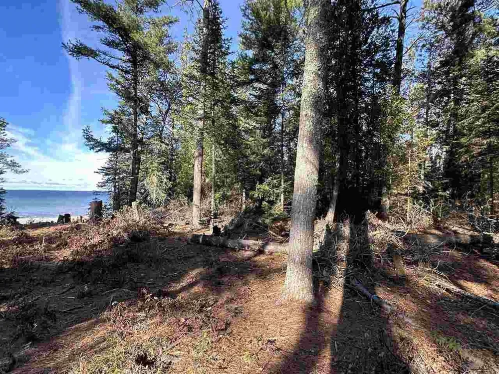 32010 Mrs Reddings Trail Peaine Township, MI 49782