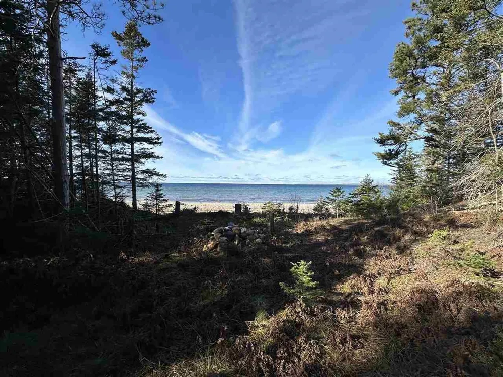 32010 Mrs Reddings Trail Peaine Township, MI 49782