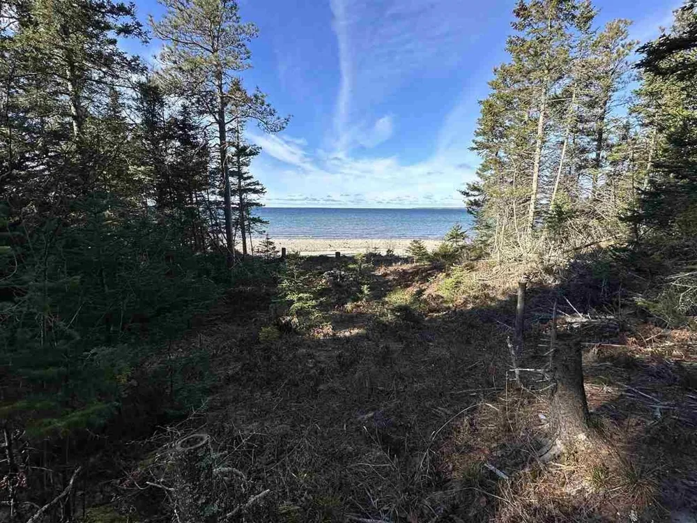 32010 Mrs Reddings Trail Peaine Township, MI 49782