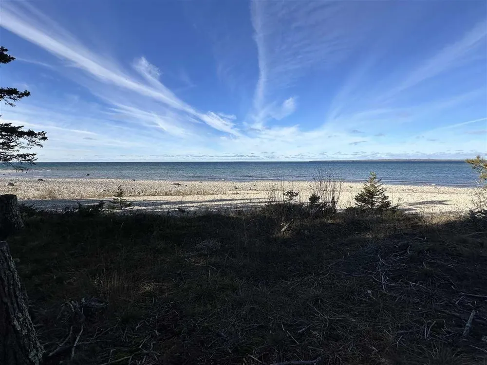 32010 Mrs Reddings Trail Peaine Township, MI 49782