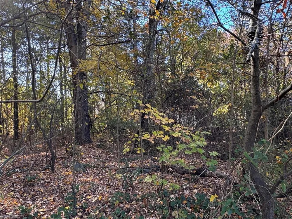 480 Avenue I Lexington, NC 27292