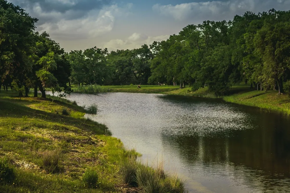 353 Agarita Way Johnson City, TX 78636