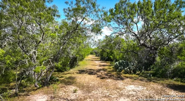 000 CR 342 Beeville, TX 78102