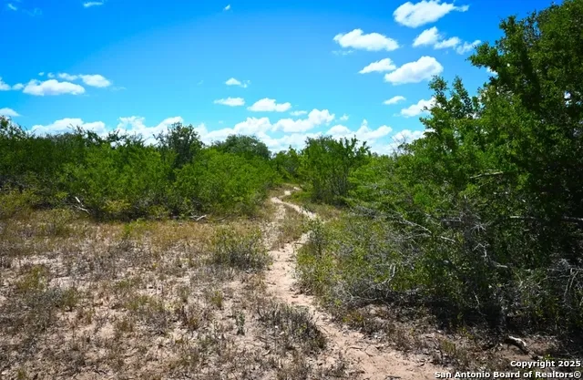 000 CR 342 Beeville, TX 78102
