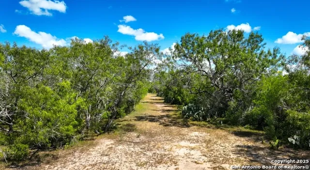 000 CR 342 Beeville, TX 78102