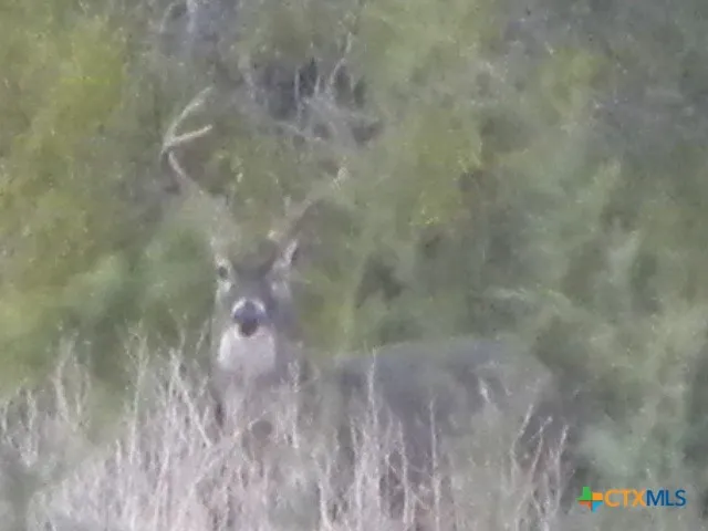 Vilas Road Holland, TX 76534