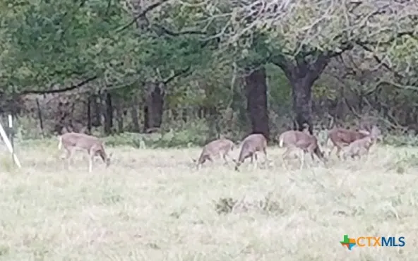 Vilas Road Holland, TX 76534
