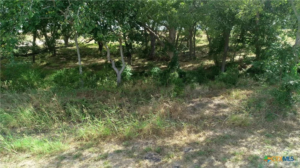 511 CR 362 #Lot 8 Shiner, TX 77984