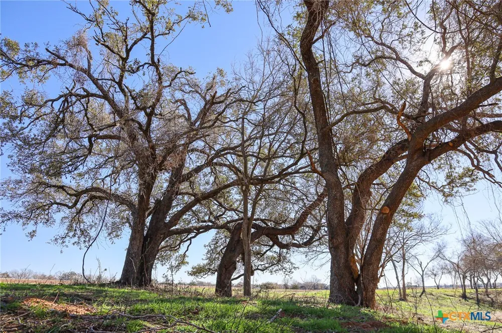 511 CR 362 #Lot 3 Shiner, TX 77984