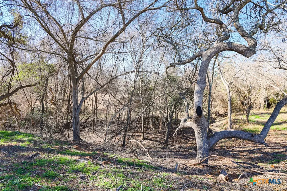 511 CR 362 #Lot 3 Shiner, TX 77984