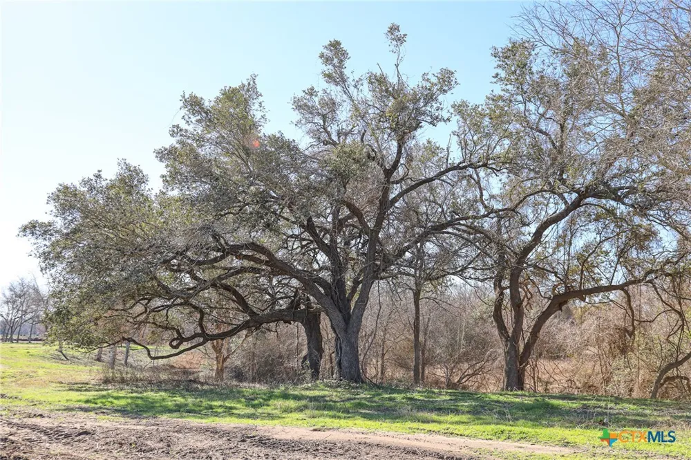 511 CR 362 #Lot 3 Shiner, TX 77984