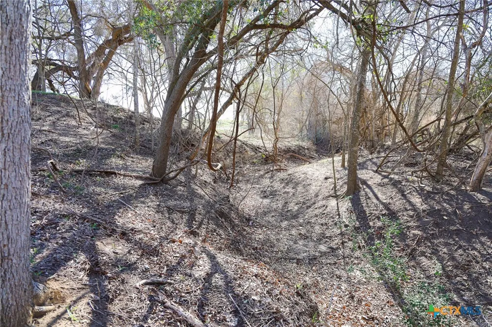 511 CR 362 #Lot 3 Shiner, TX 77984