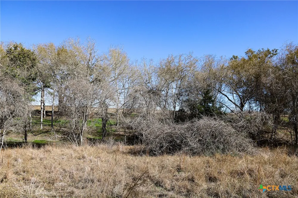 511 CR 362 #Lot 3 Shiner, TX 77984