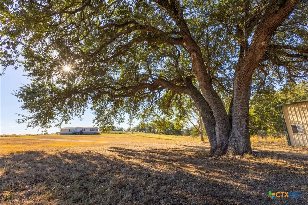 1155 Fm 2438 Seguin, TX 78155