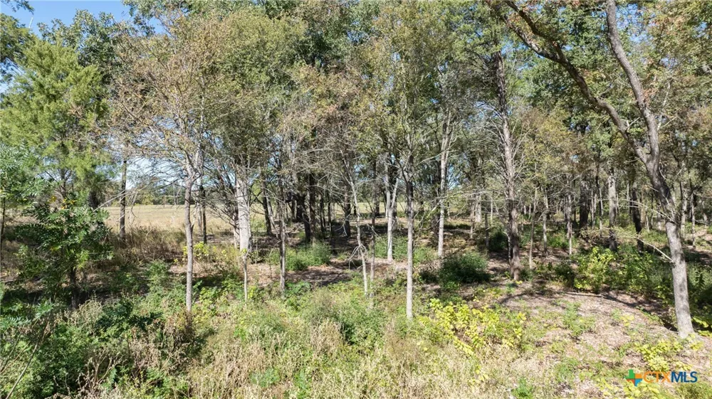 204 Little Branch Lane Cameron, TX 76520