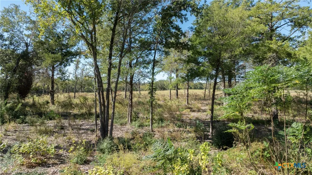 204 Little Branch Lane Cameron, TX 76520
