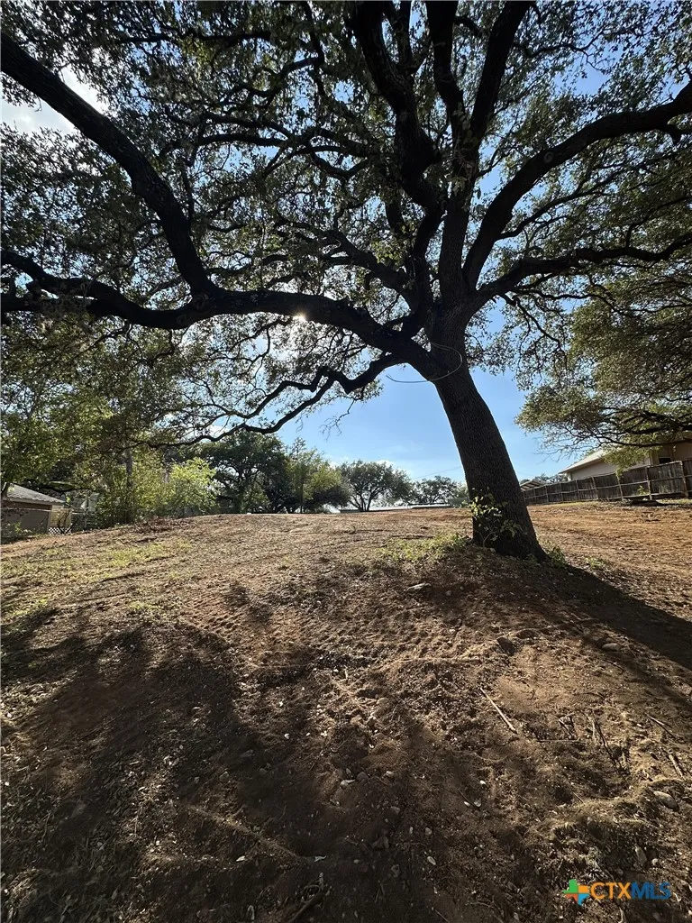525 CR 136A Kingsland, TX 78639