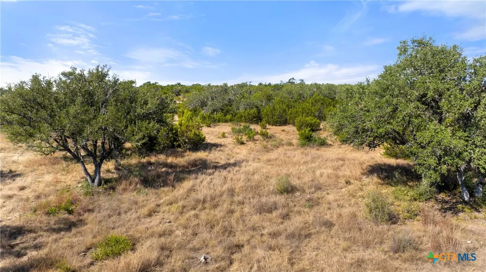 2058 Legacy Hills Drive Johnson City, TX 78636
