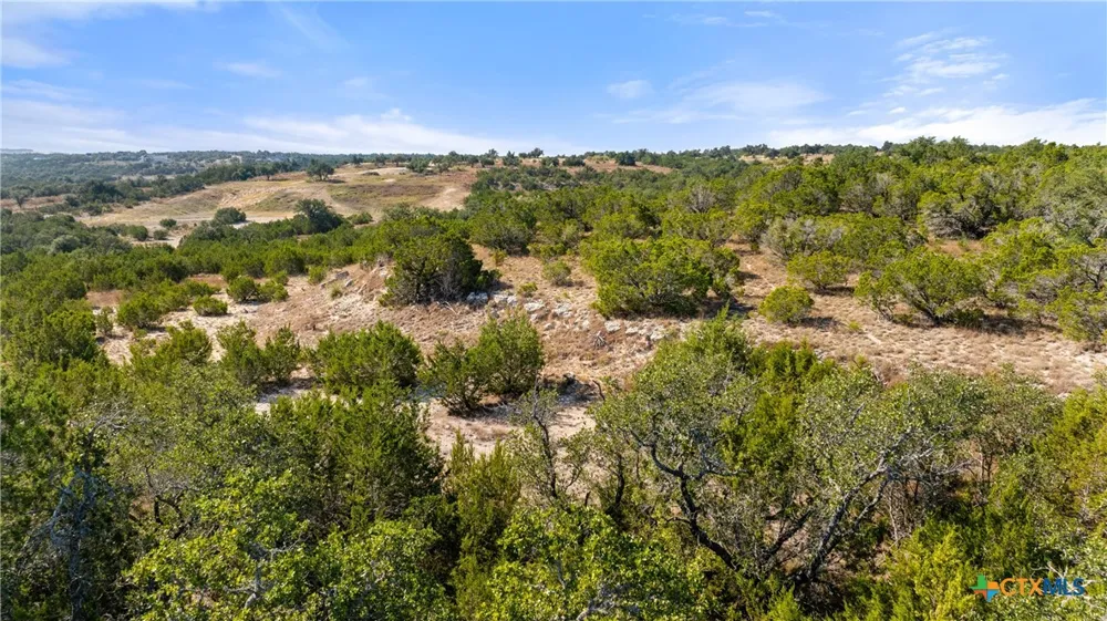 2058 Legacy Hills Drive Johnson City, TX 78636