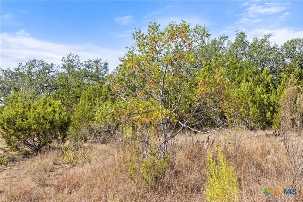2058 Legacy Hills Drive Johnson City, TX 78636