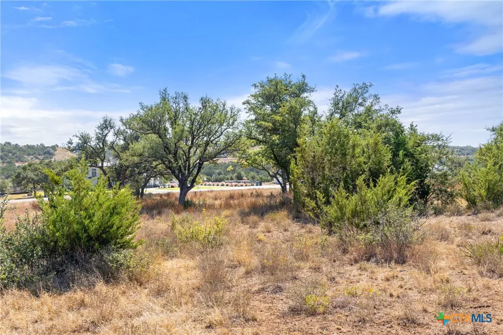 2058 Legacy Hills Drive Johnson City, TX 78636