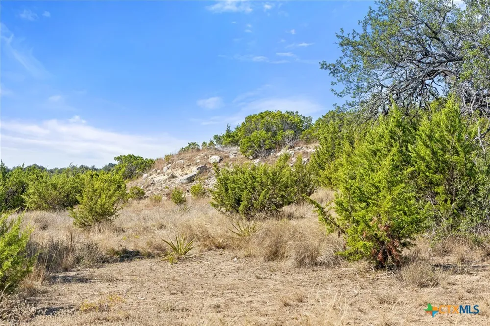 2058 Legacy Hills Drive Johnson City, TX 78636