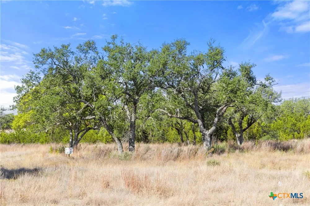 2058 Legacy Hills Drive Johnson City, TX 78636