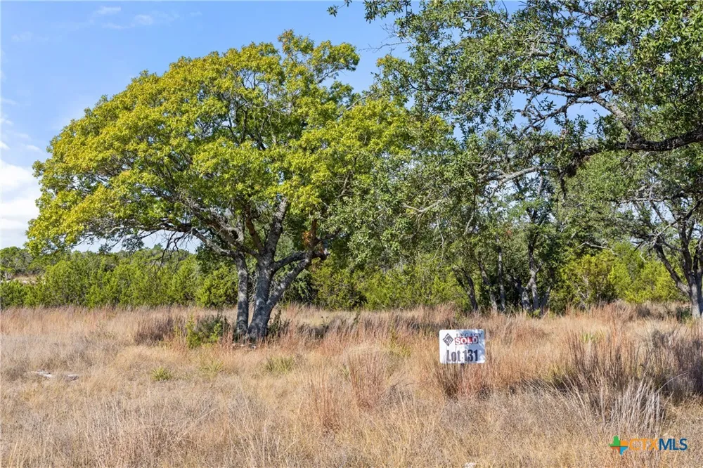 2058 Legacy Hills Drive Johnson City, TX 78636