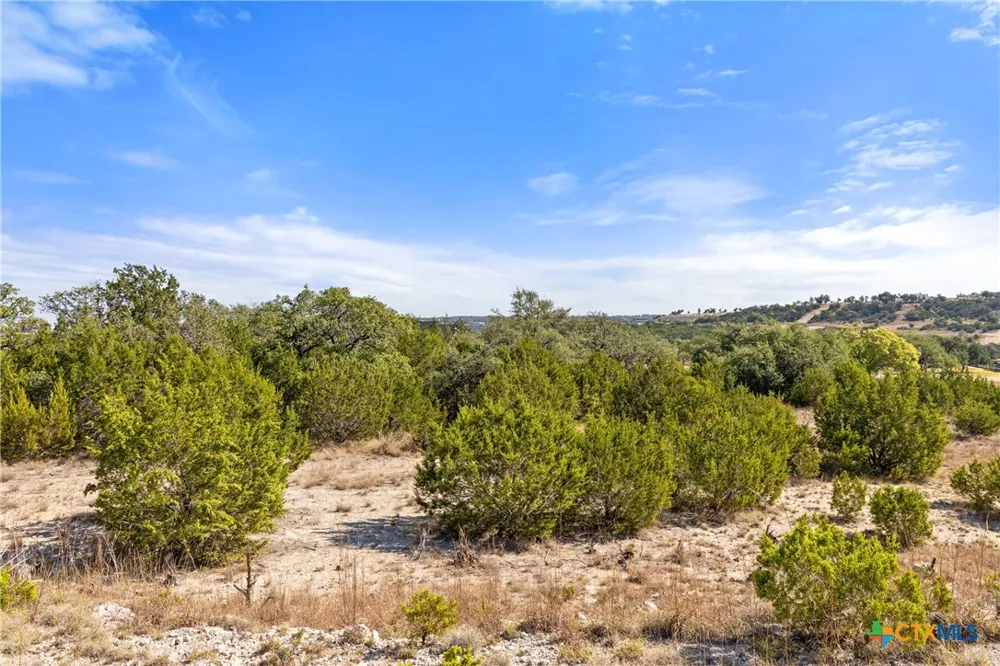 2058 Legacy Hills Drive Johnson City, TX 78636