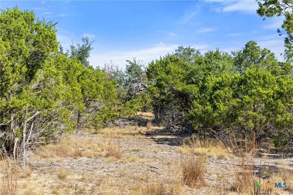 2058 Legacy Hills Drive Johnson City, TX 78636