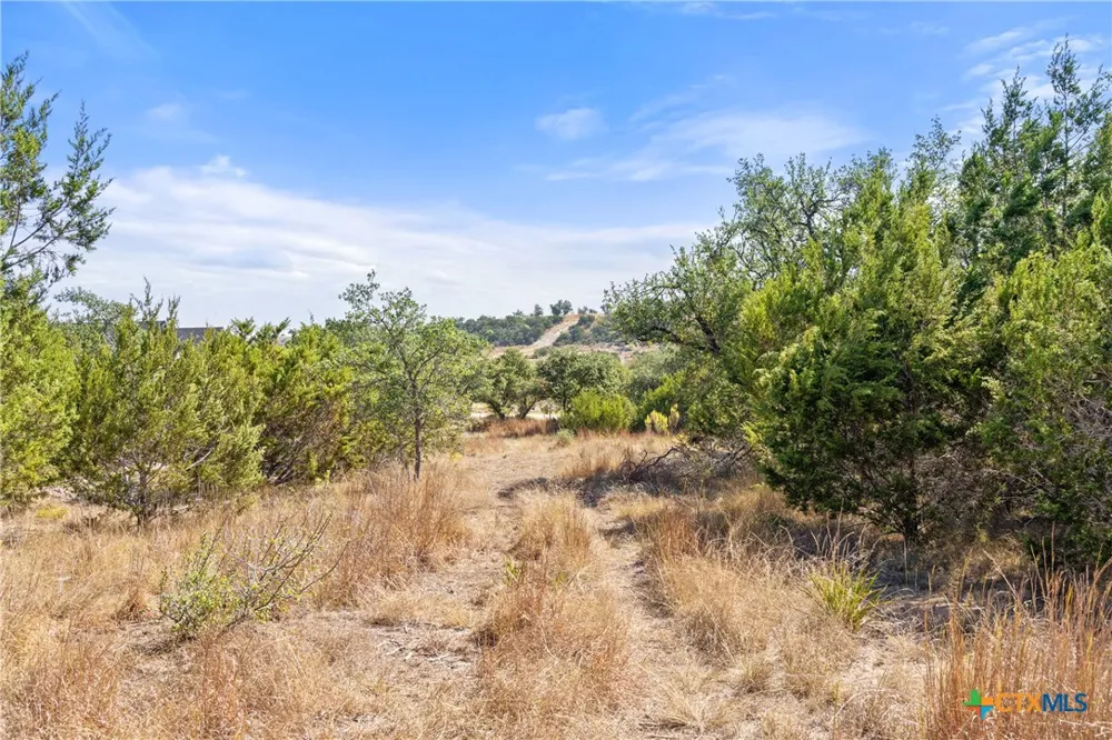2058 Legacy Hills Drive Johnson City, TX 78636