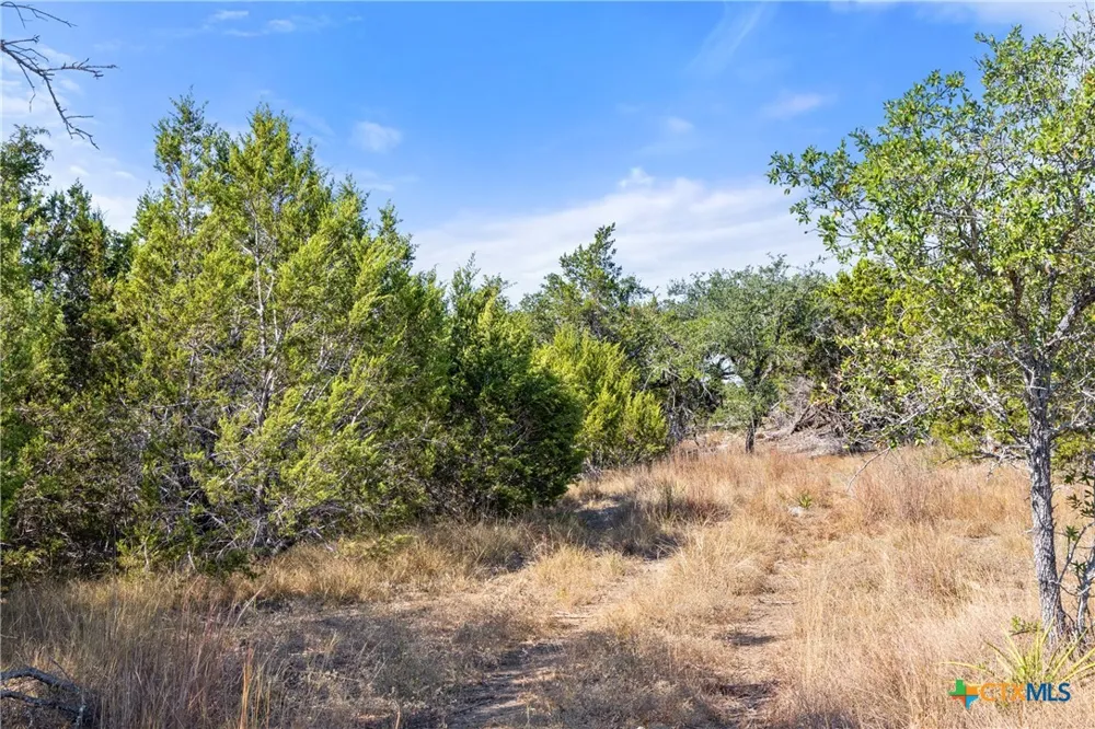 2058 Legacy Hills Drive Johnson City, TX 78636