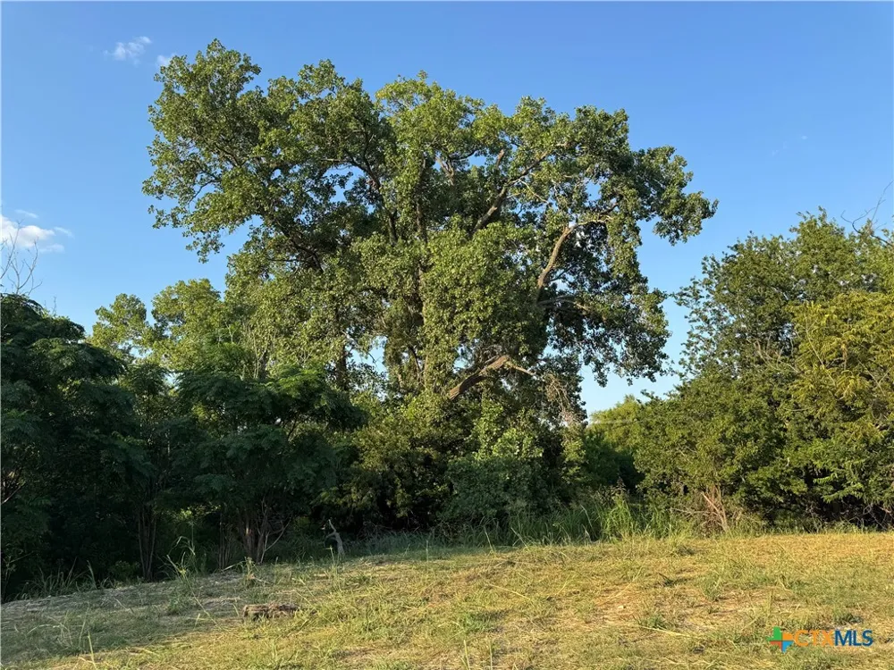 4401 Trimmier Road Killeen, TX 76542
