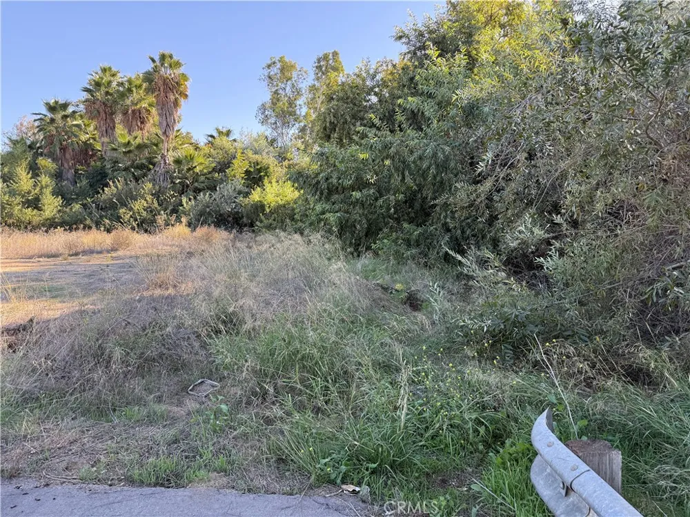 Colt Riverside, CA 92508