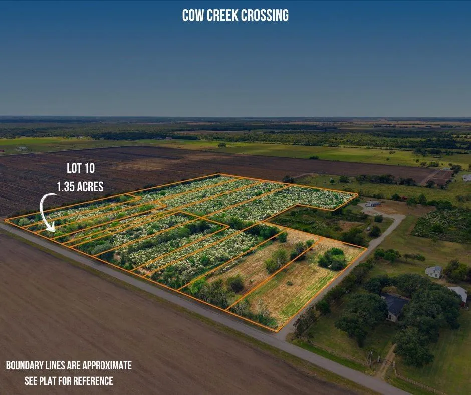 10 Cow Creek Road Damon, TX 77430