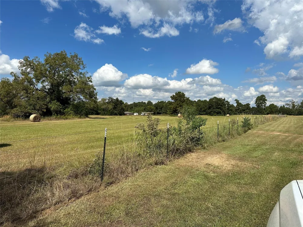 11 W Danville Rd Willis, TX 77378