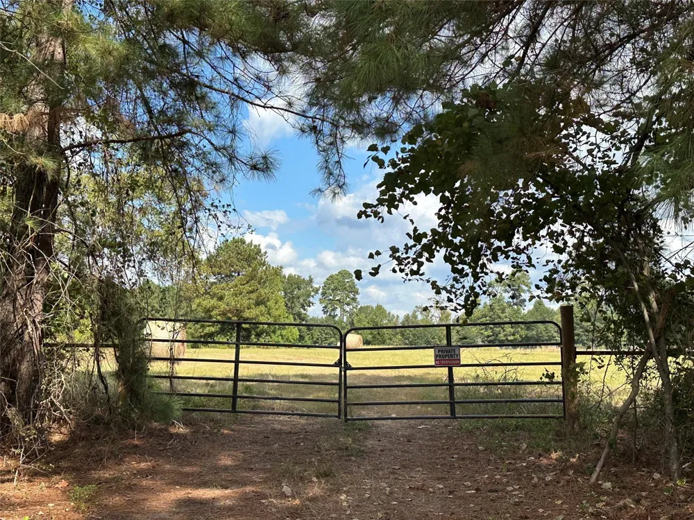 11 W Danville Rd Willis, TX 77378