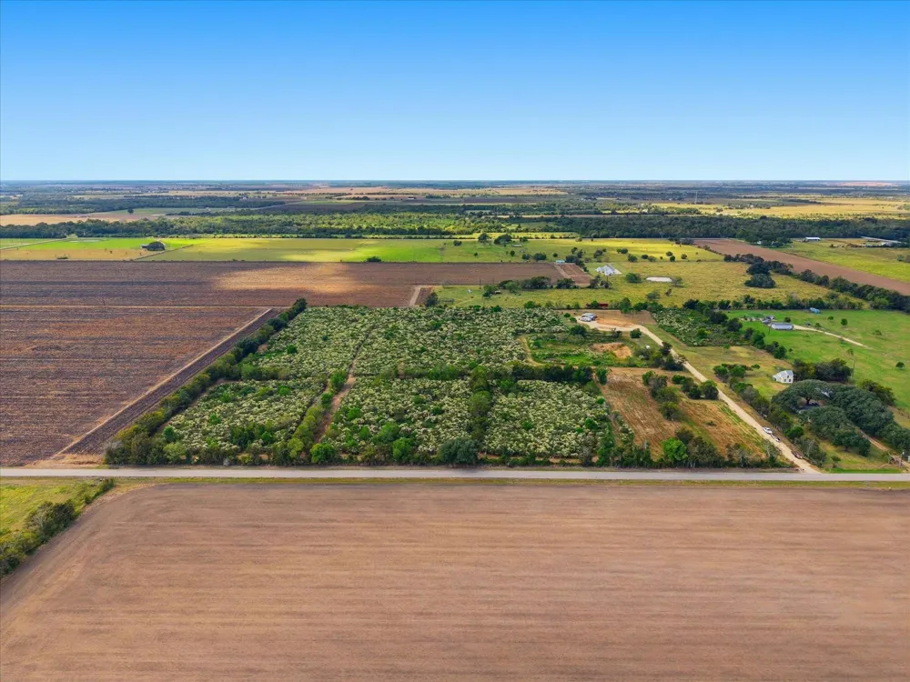 5 Cow Creek Road Damon, TX 77430