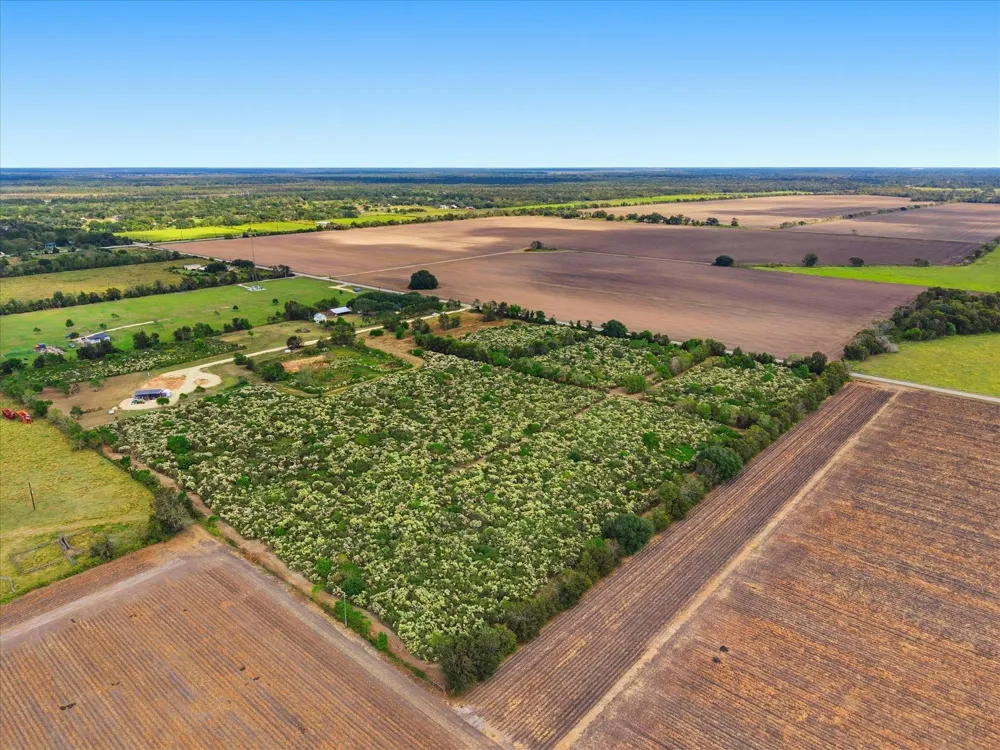 5 Cow Creek Road Damon, TX 77430