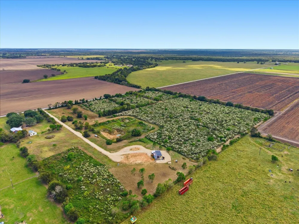 5 Cow Creek Road Damon, TX 77430