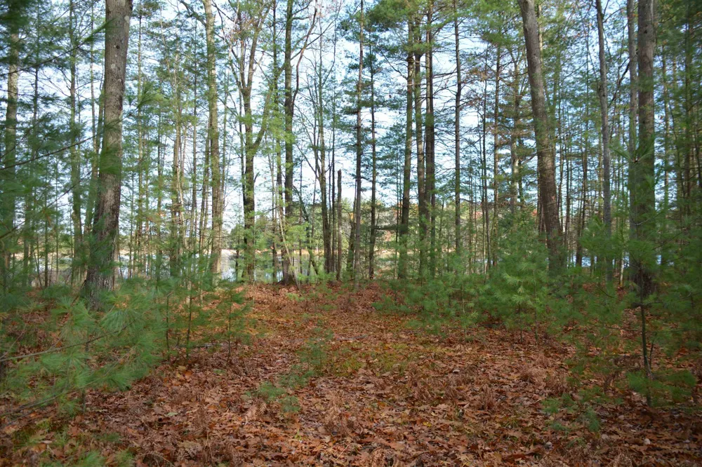 864 SE Blue Heron Drive Orange Township, MI 49646