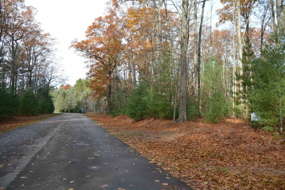 864 SE Blue Heron Drive Orange Township, MI 49646