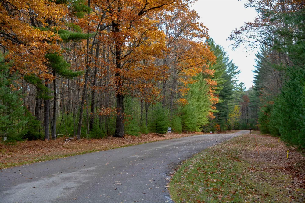 864 SE Blue Heron Drive Orange Township, MI 49646